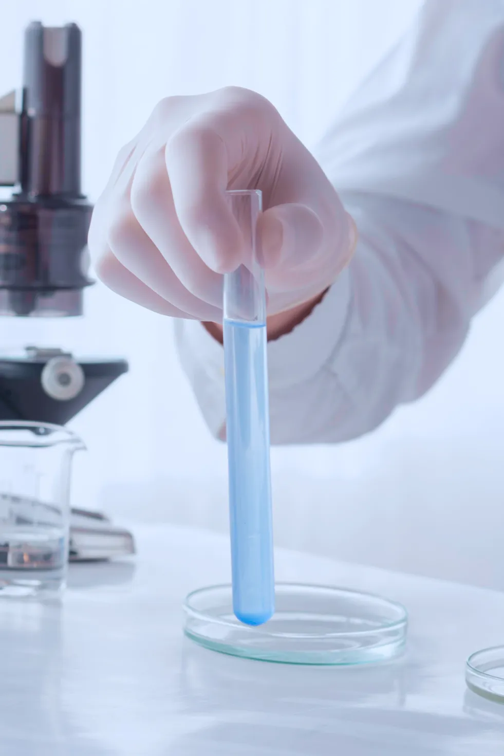 Biologie Quotidien Bio Lab Marrakech