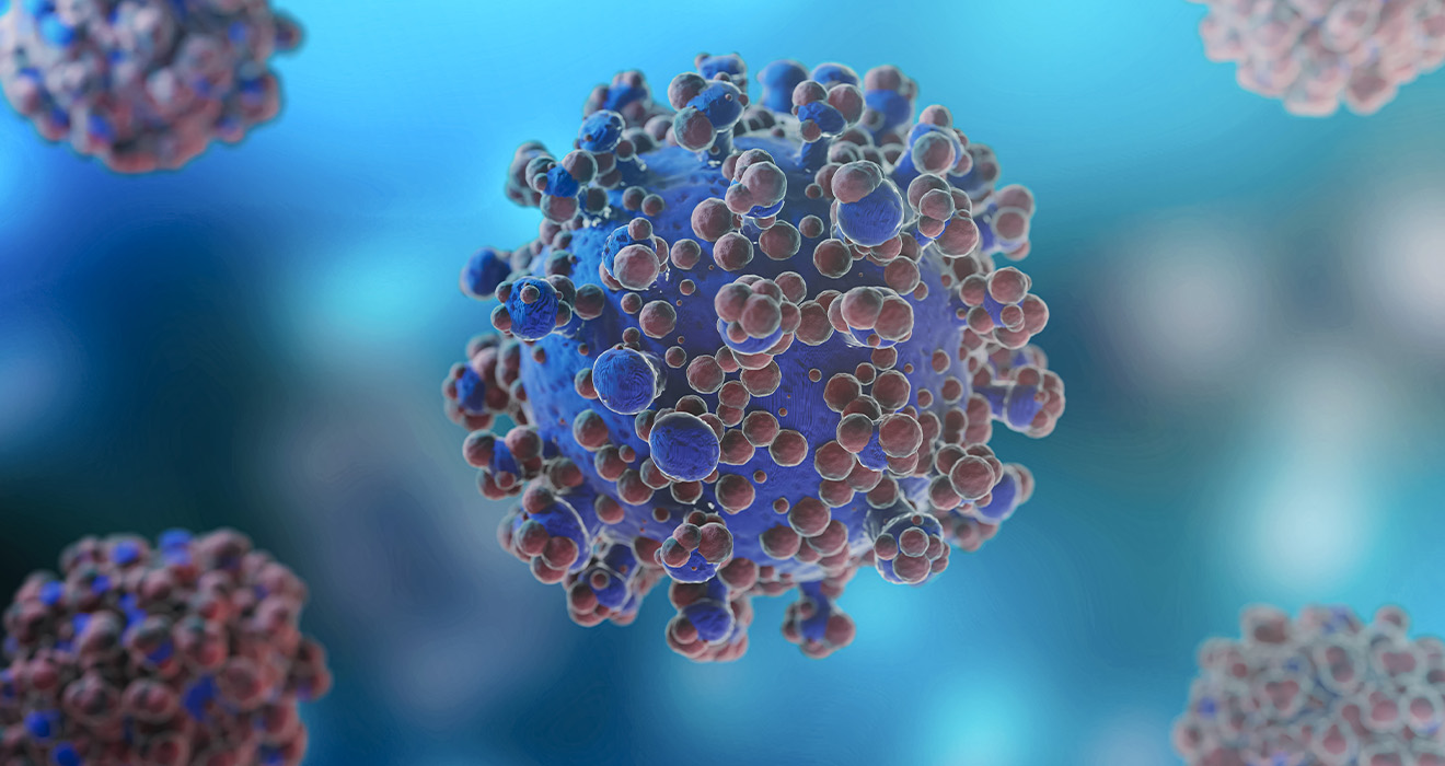Papillomavirus Humain Virus