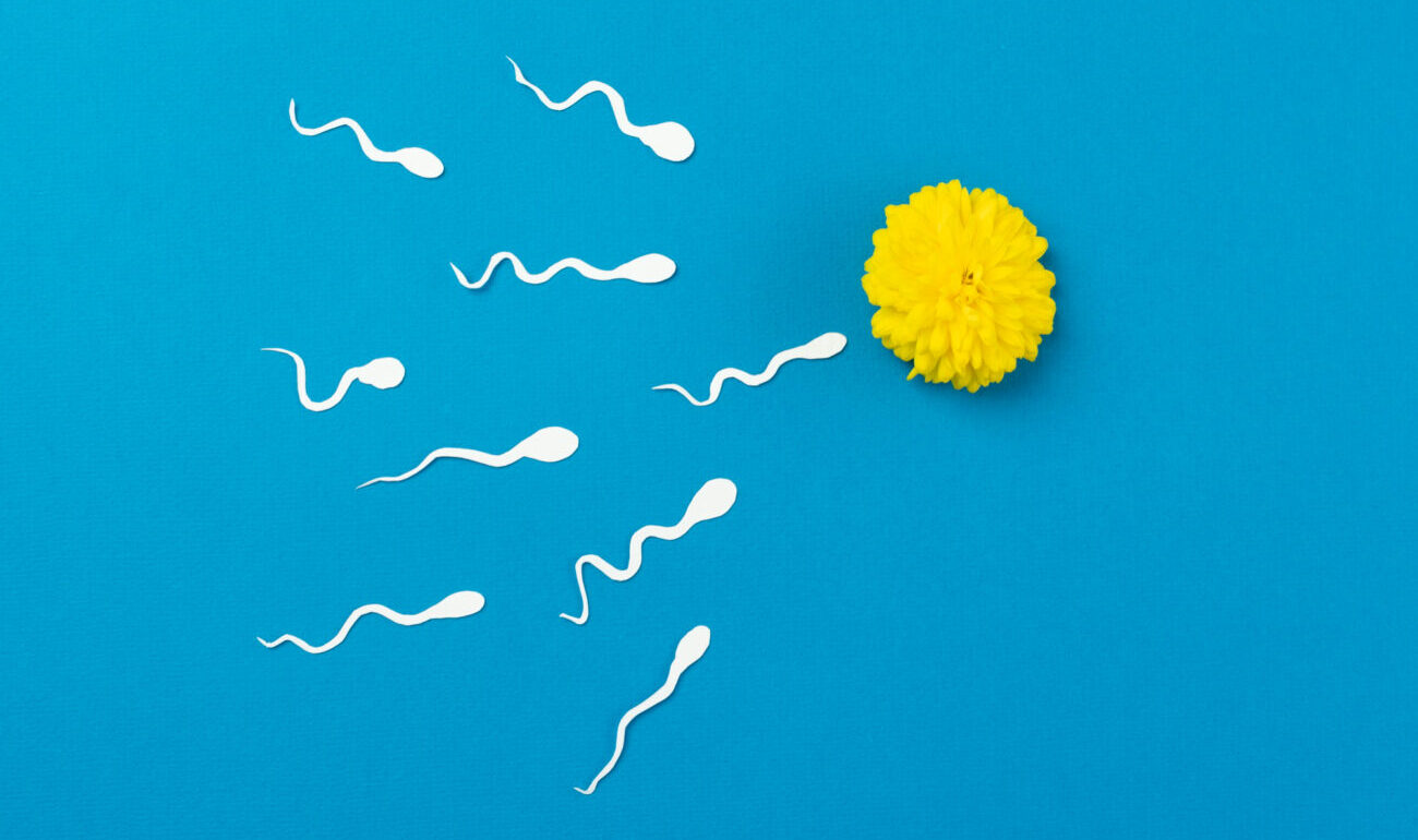 Spermogramme : tout savoir sur l’analyse de fertilité masculine